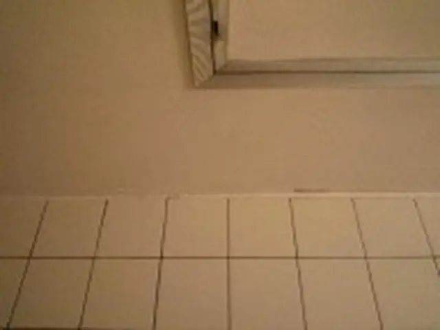 浴室クリーニング1室 (床面積3m2・高さ2.4m未満)サービスの画像