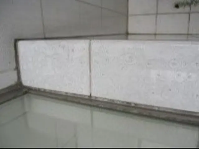 浴室クリーニング1室 (床面積3m2・高さ2.4m未満)サービスの画像