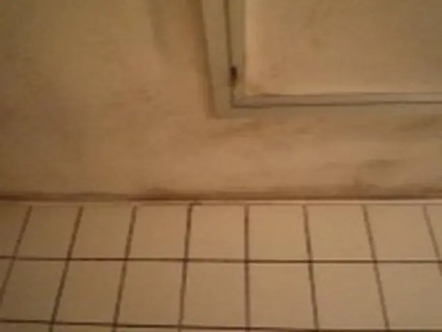 浴室クリーニング1室 (床面積3m2・高さ2.4m未満)サービスの画像