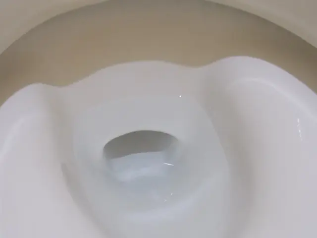 トイレクリーニング【業歴20年の経験と実績】サービスの画像