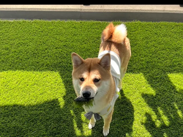 キャンセル待ち！予算に合わせてご提案します！ご相談ください♪サービスの画像