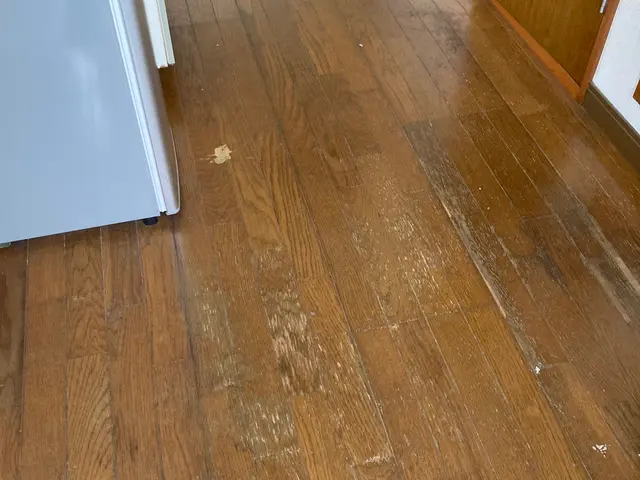 その道のプロがお伺いします！空室ハウスクリーニングサービスの画像