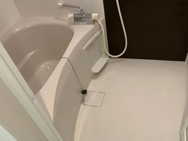 年明けの今がお得！家計応援★作業2000件以上の実績あり★損害保険加入店サービスの画像