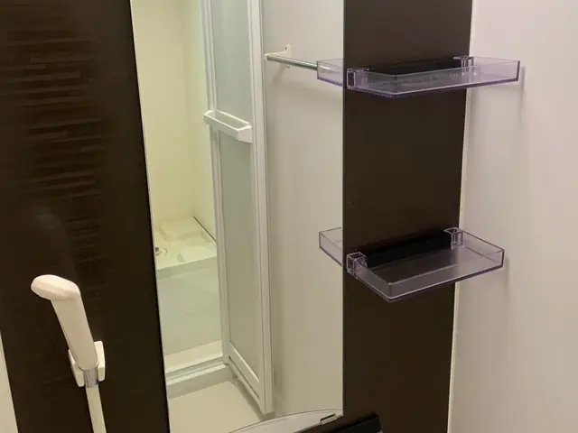 年明けの今がお得！家計応援★作業2000件以上の実績あり★損害保険加入店サービスの画像