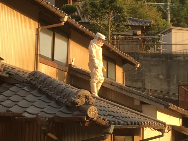 【アシナガ、スズメバチ8,000円！】蜂の巣駆除ならお任せ！迅速・丁寧に対応！サービスの画像