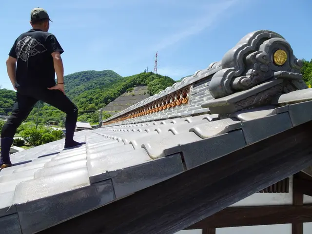 屋根の困り事は注文修繕で安心！屋根の８割は修理でOKなんです！セミオーダー修繕サービスの画像