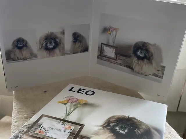 お部屋に飾ってほしいペットポートレート撮影サービスの画像