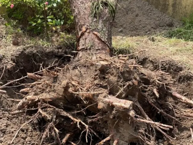 伐採抜根に必要な様々な特殊工具も全て完備しております！お気軽にお問い合わせ下さいサービスの画像