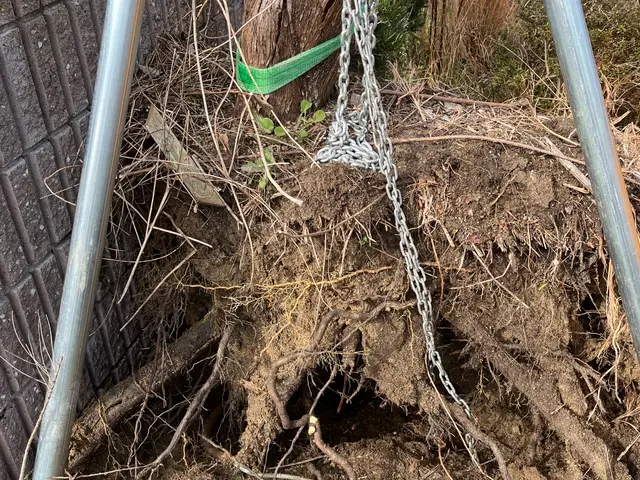 伐採抜根に必要な様々な特殊工具も全て完備しております！お気軽にお問い合わせ下さいサービスの画像