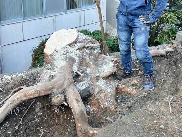 伐採抜根に必要な様々な特殊工具も全て完備しております！お気軽にお問い合わせ下さいサービスの画像