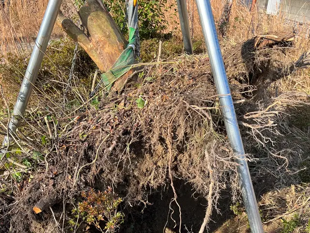 伐採抜根に必要な様々な特殊工具も全て完備しております！お気軽にお問い合わせ下さいサービスの画像