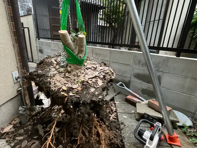 伐採抜根に必要な様々な特殊工具も全て完備しております！お気軽にお問い合わせ下さいサービスの画像