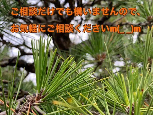 《業歴28年》県内で当社のみが取り扱う、高級人工芝あり！※電子マネー・QR決済可サービスの画像