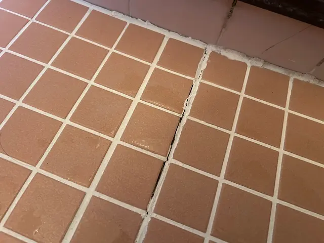 24時間、当日可能です！国家資格取得のプロによる徹底駆除！まずは無料相談から→→サービスの画像