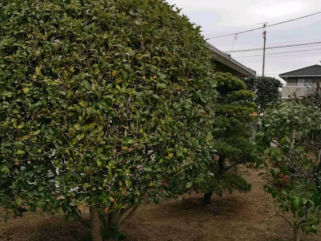 【年中無休で営業】早朝・夜間の作業OK！親切対応・丁寧に作業いたします◯サービスの画像