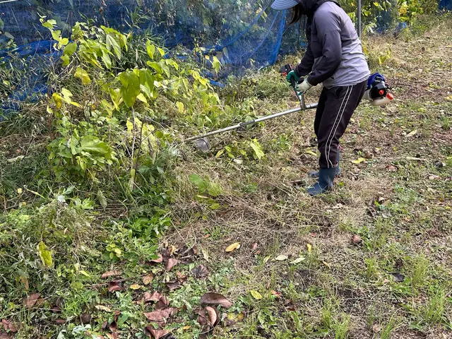 女性スタッフ指定OK！果樹園のプロが地域密着で美しい仕上がりをお約束サービスの画像