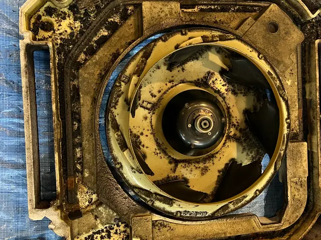 体に優しい洗剤使用・消臭コート無料◆損害保険加入◎安心の電気工事士資格☆サービスの画像