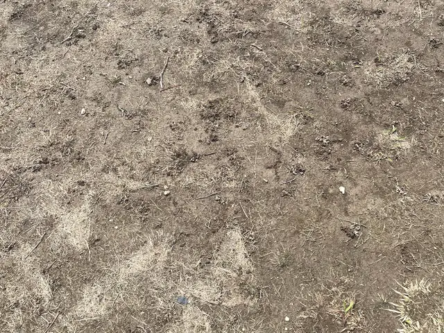 信頼の店長が直接訪問！融通の利く草刈りサービスサービスの画像