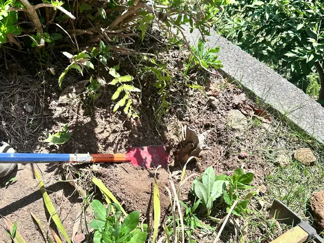 プロの技術でご満足いただけるように心を込めて作業いたしますサービスの画像