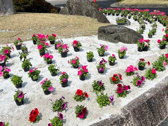 【☆地域密着で営業中☆】安心してお気軽にご相談ください！！サービスの画像