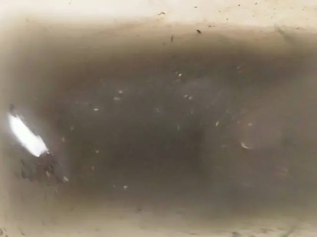 滅菌施工でキレイな暮らしを！必ず詳しいサービス内容みてくださいサービスの画像