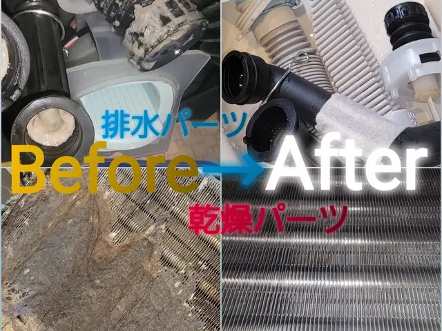 【乾燥不良・生乾き・カビ汚れ】25300円！閑散期キャンペーン11/30までサービスの画像