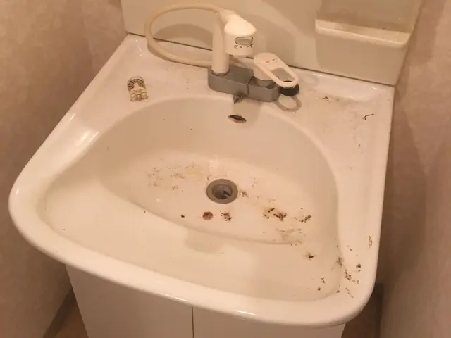 洗面化粧台をキレイに！サービスの画像