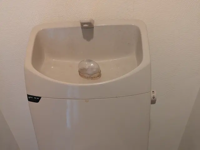 【4月新店オープン記念価格】GW営業します!!/店舗、一般家庭OKサービスの画像