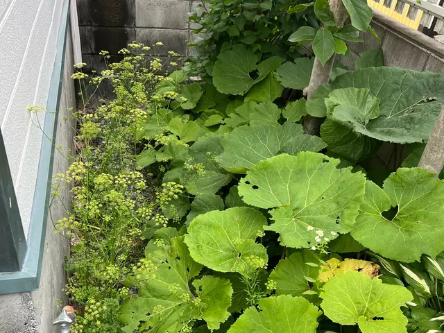 プロの技術でご満足いただけるように心を込めて作業いたしますサービスの画像