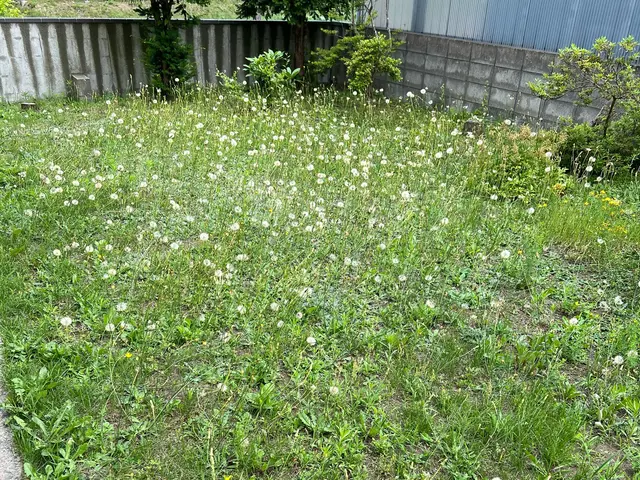 プロの技術でご満足いただけるように心を込めて作業いたしますサービスの画像