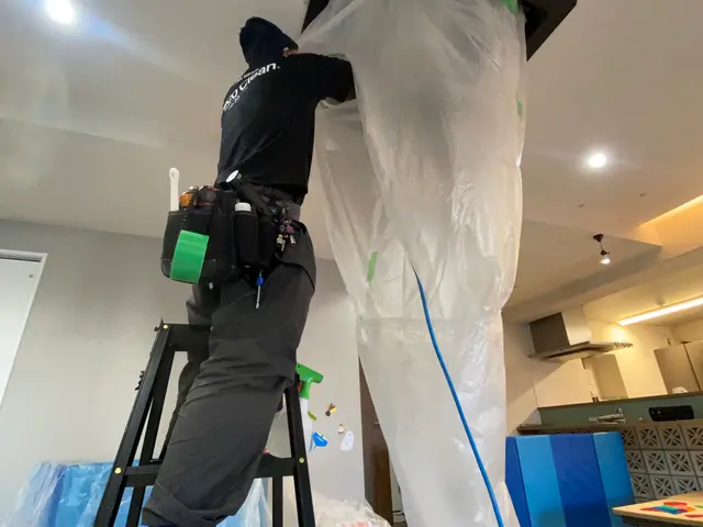 作業実績年間200件以上★消臭・抗菌に特化したエコ洗剤★お子さんやペットにも安心サービスの画像