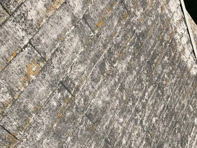 【根性の４回塗り☆】塗装歴25年の熟練した技術をもった職人が丁寧に作業致します！サービスの画像