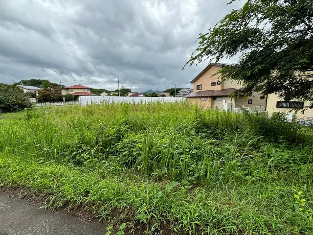 抜根、伐採サービスサービスの画像