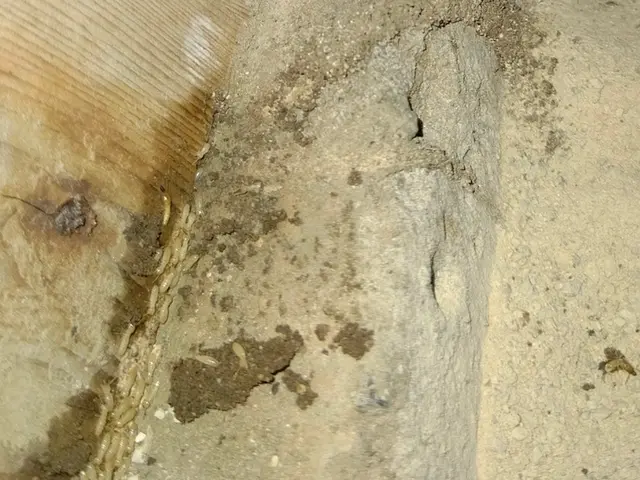 【安心の5年保証】施工保証書付き、シロアリ駆除・予防お任せ下さい☆損害保険加入！サービスの画像