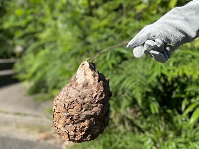 【作業外注一切無し◎】一つ一つの現場を大切に、徹底的に丁寧に仕上げます。サービスの画像