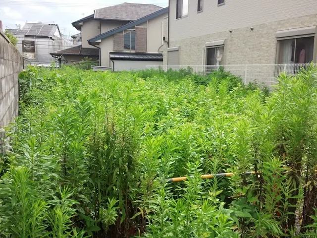 ★予約受付中！キャンペーンあり！機械カットでの作業・迅速に対応致します！サービスの画像