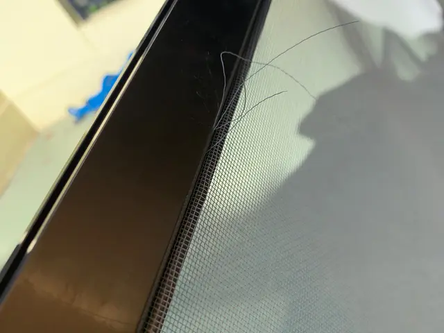 室内の換気循環は必要です。自宅の網戸の見直ししませんか⁈サービスの画像