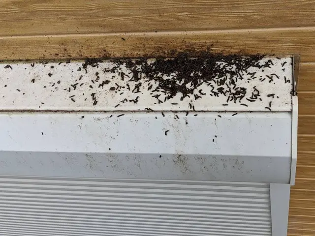 ★豊富な経験・実績★良心的な価格と丁寧な施工をお約束◎年中無休で営業中！！サービスの画像