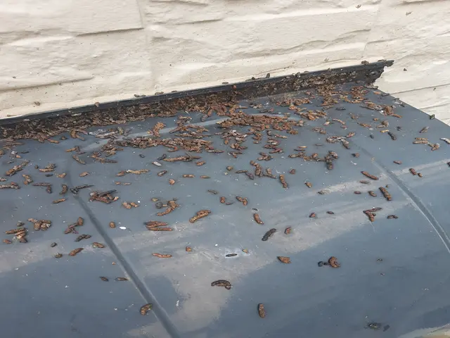 ★豊富な経験・実績★良心的な価格と丁寧な施工をお約束◎年中無休で営業中！！サービスの画像