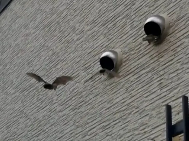 ★豊富な経験・実績★良心的な価格と丁寧な施工をお約束◎年中無休で営業中！！サービスの画像