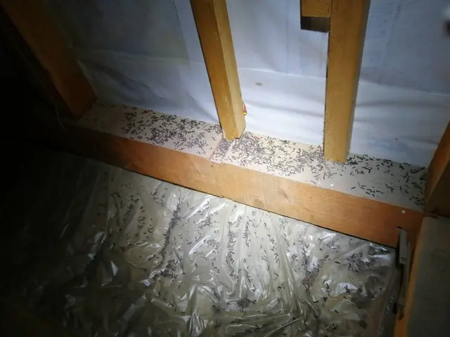 ★豊富な経験・実績★良心的な価格と丁寧な施工をお約束◎年中無休で営業中！！サービスの画像