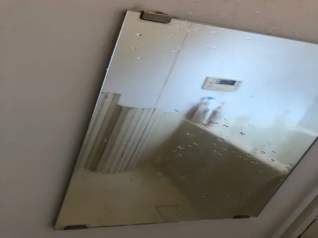 【健康を作るハウスクリーニング】綺麗好き店長が清潔な環境を守ります！サービスの画像