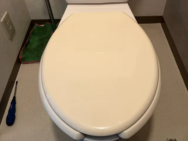 ウォシュレット取り外しor既存便座取り外しサービスの画像