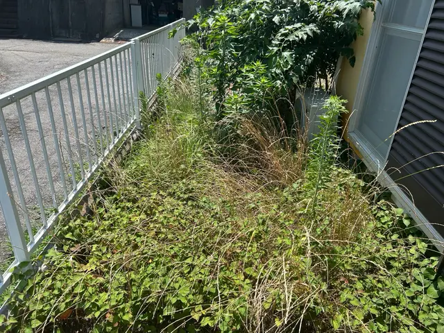 お客様のお力になります！経験と知識を活かして迅速丁寧に作業いたしますサービスの画像