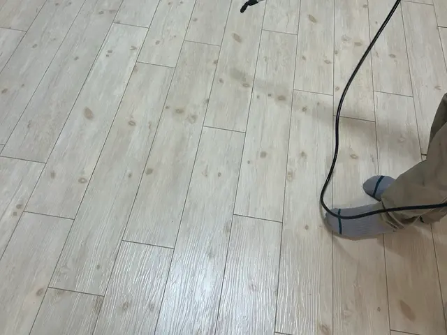 元大手経験者が駆け付ける！女性スタッフ同行対応の害虫解決サービスサービスの画像