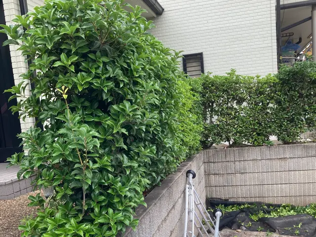 ＜年中無休＞お庭のお手入れおまかせ下さい！実績豊富なスタッフがお伺いします◎サービスの画像