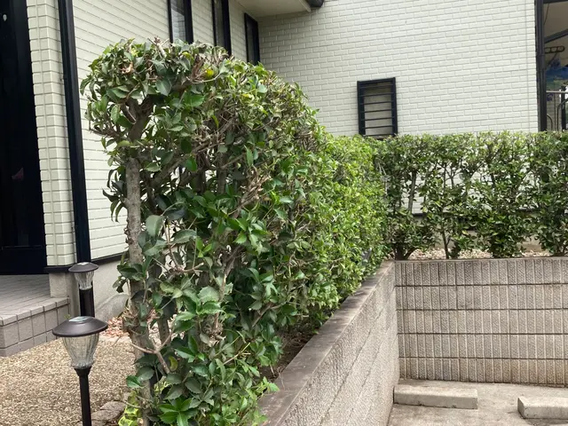 ＜年中無休＞お庭のお手入れおまかせ下さい！実績豊富なスタッフがお伺いします◎サービスの画像