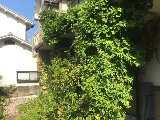 ＜年中無休＞お庭のお手入れおまかせ下さい！実績豊富なスタッフがお伺いします◎サービスの画像