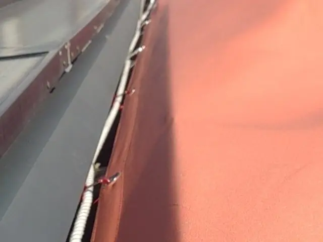 【東海バリューライフ】ガーデニングサービス♬高所作業も得意なベテラン職人が施工♬サービスの画像