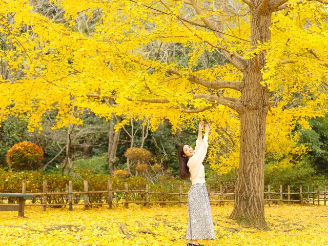 全国出張撮影【家族・成人式・卒業・入学】女性スタッフ